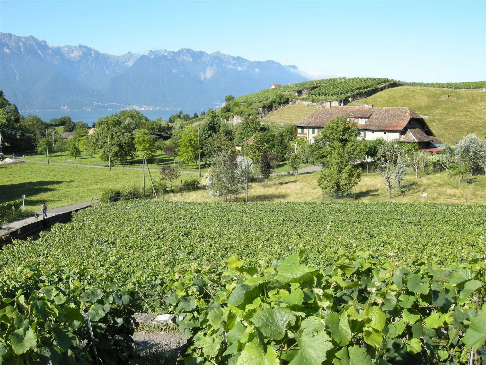 Hotel De La Vieille Tour ลาตูร์เดอเปลซ์ ภายนอก รูปภาพ